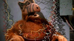 Project: ALF Project: ALF