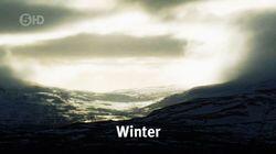 Winter Winter