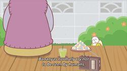Bananya Takes a Walk, Nya Bananya Takes a Walk, Nya