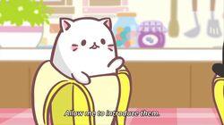 Bananya and Friends, Nya Bananya and Friends, Nya
