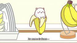 The Kitty Who Lives in a Banana The Kitty Who Lives in a Banana