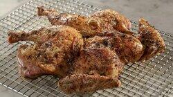 A Bird in the Pan: The Reload A Bird in the Pan: The Reload