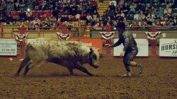 American Bullfighter American Bullfighter