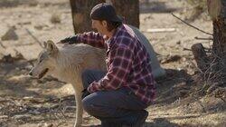 A Wolf Romance