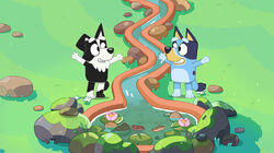 Barky Boats