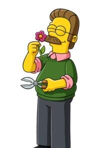 Ned Flanders Ned Flanders