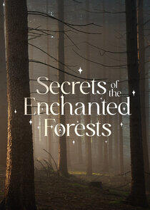 Secrets of the Enchanted Forests Secrets of the Enchanted Forests