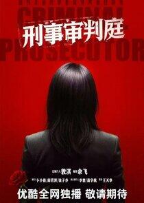 Criminal Prosecutor