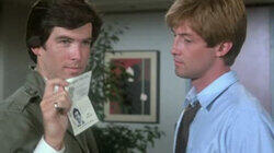 License to Steele License to Steele