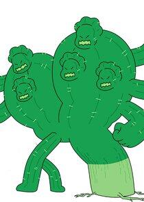 Cactus Steven Cactus Steven