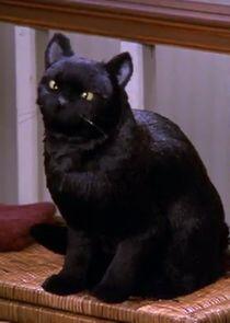 Salem Saberhagen