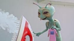 Toyshop / Laundromat / Yoga Toyshop / Laundromat / Yoga