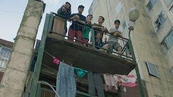 Entre el plomo y la desilusión Entre el plomo y la desilusión