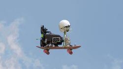 Skateboard / Mannequin / Survival Skateboard / Mannequin / Survival