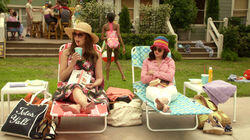Summer Summer
