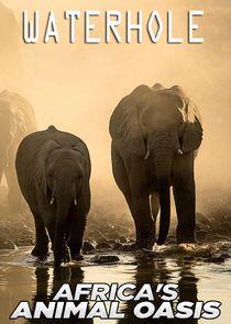 Waterhole: Africa's Animal Oasis Waterhole: Africa's Animal Oasis