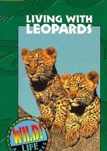 Wild Life Adventures Wild Life Adventures