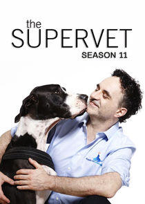 The Supervet: Noel Fitzpatrick - Season 11 The Supervet: Noel Fitzpatrick - Season 11