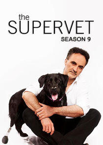 The Supervet: Noel Fitzpatrick - Season 9 The Supervet: Noel Fitzpatrick - Season 9