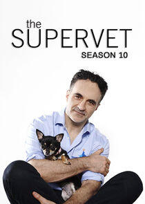The Supervet: Noel Fitzpatrick - Season 10 The Supervet: Noel Fitzpatrick - Season 10