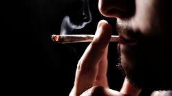 Cannabis Cannabis