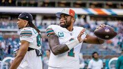 The Miami Dolphins #1 The Miami Dolphins #1