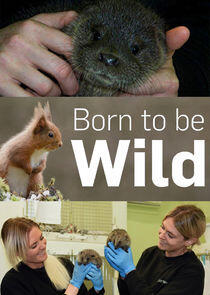 Born to Be Wild Born to Be Wild