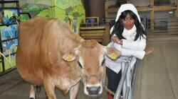 Milk Milk