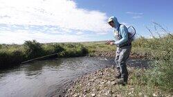 Fly Fishing Fly Fishing