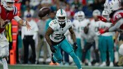 The Miami Dolphins #3 The Miami Dolphins #3
