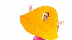 Oranges And Lemons Oranges And Lemons