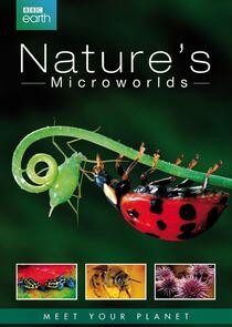 Nature's Microworlds Nature's Microworlds