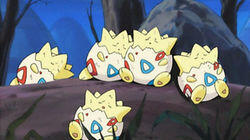 A Togepi Mirage! A Togepi Mirage!