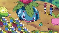 Grass Hysteria! Grass Hysteria!
