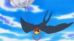 That's Just Swellow That's Just Swellow