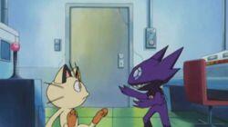 Ready, Willing and Sableye Ready, Willing and Sableye