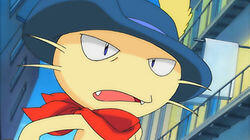 Like a Meowth to a Flame Like a Meowth to a Flame