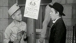 The Judge's Boy