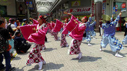 Kochi's Summertime Fever: The Yosakoi! Kochi's Summertime Fever: The Yosakoi!