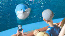 Is That Really the Best Option? Is That Really the Best Option?