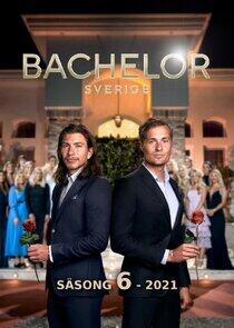 Bachelor Sverige - Season 6