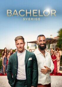 Bachelor Sverige - Season 7