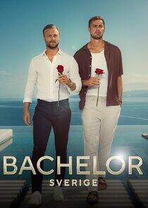 Bachelor Sverige - Season 9