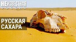 Русская Сахара Русская Сахара