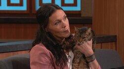 Kitty Custody in an Open Relationship Kitty Custody in an Open Relationship