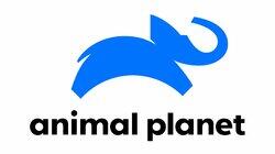 logo of Animal Planet logo of Animal Planet