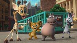 The Bear Necessities The Bear Necessities