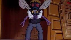 Bye, Bye Fly Bye, Bye Fly