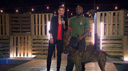 Raising the Woof Raising the Woof