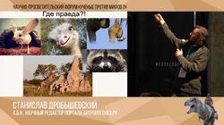 Мифы о Пупе Земли на Вершине Эволюции. Станислав Дробышевский. Мифы о Пупе Земли на Вершине Эволюции. Станислав Дробышевский.